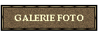 GALERIE FOTO